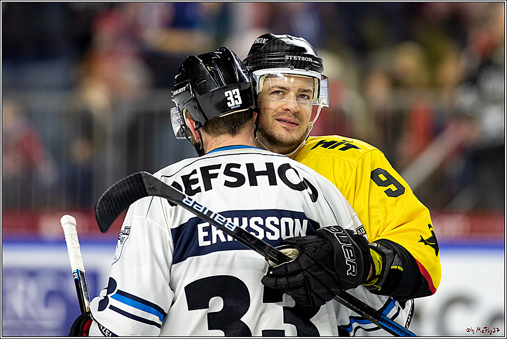DEL;  Koelner Haie - Straubing Tigers; Koeln, 01.03.2020